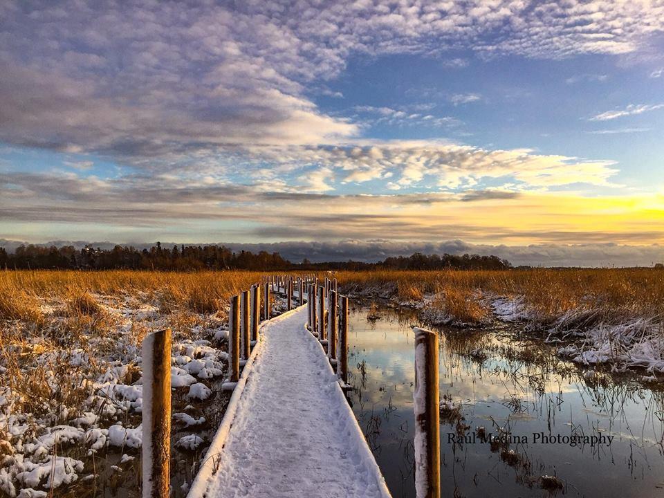 Beautiful sunset on the winter