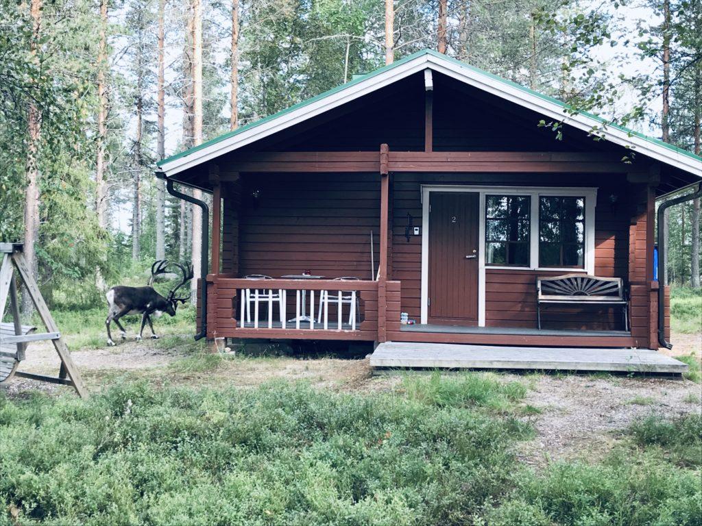 Gay/LGBTQ friendly ecological acommodation in Metsä kolo Finland, sateenkaariystävällinen Suomi yhteisön jäsen